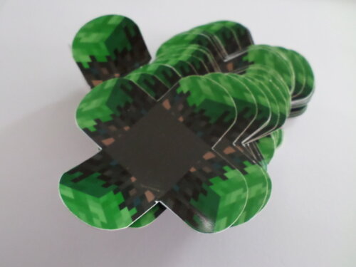 Forminha Personalizada Minecraft