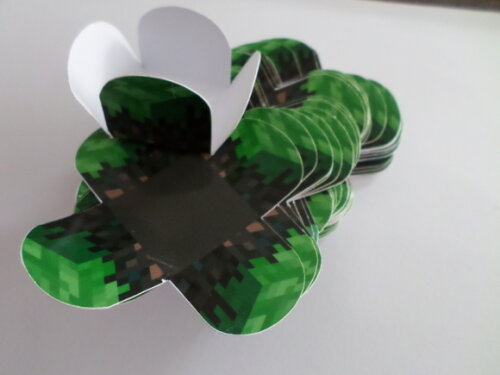 Forminha Personalizada Minecraft