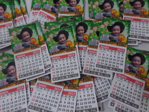 Ima para Geladeira com Calenderio Safari