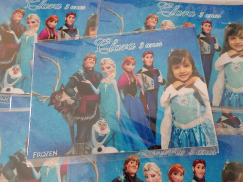ima para geladeira frozen