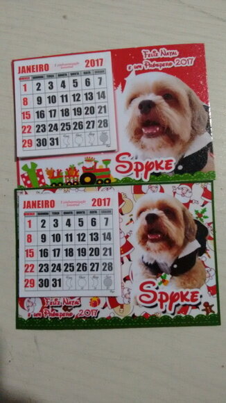 Imã para pet Natal