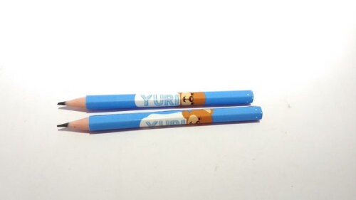 Mini Lapis Personalizado Ursinho