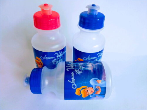 Squeeze Personalizado Cinderela