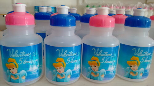 Squeeze Personalizado Cinderela