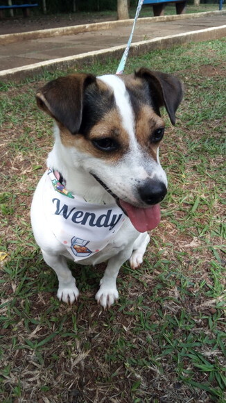 Bandana Pet Personalizada Para Cachorro tamanho M