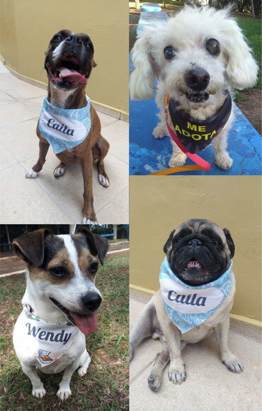 Bandana Pet Personalizada Para Cachorro tamanho G