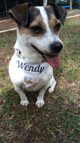 Bandana Pet Personalizada Para Cachorro tamanho P