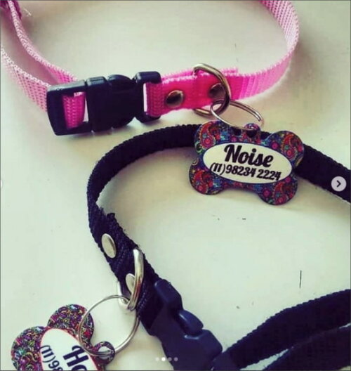 Kit 3 Pingente De Identificação Personalizado Metal P/ Pets