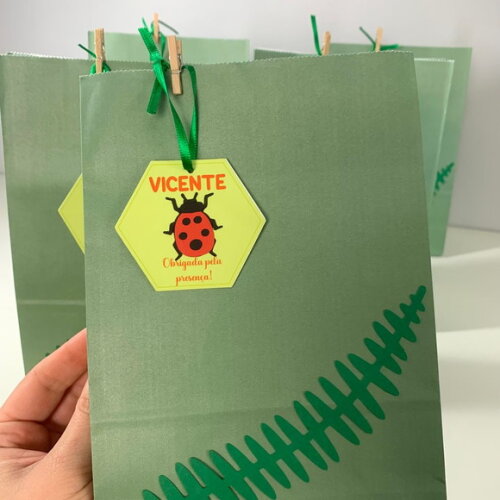 Saco Papel Lembrancinha Insetos - Kit 10 Unidades