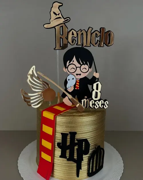 Topo de Bolo Harry Potter 04 Studio/PDF/PNG