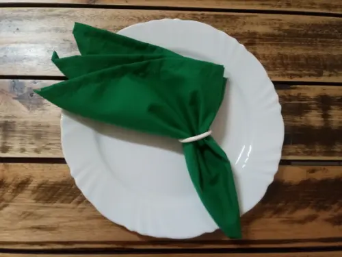 Guardanapo em Tecido