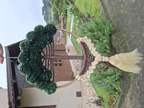 Araucária