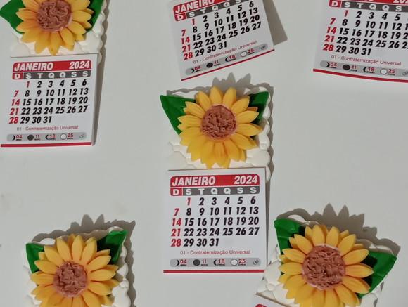 Calendário 202 de Biscuit Girassol
