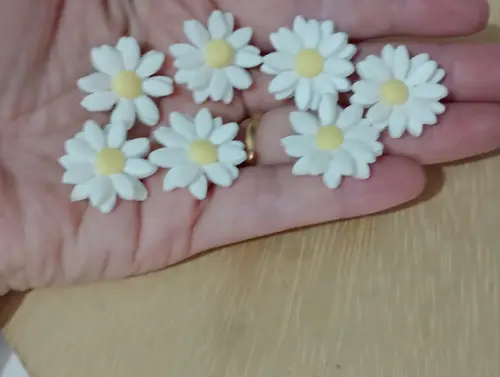 Aplique Mini Margarida de Biscuit Quinze Peças