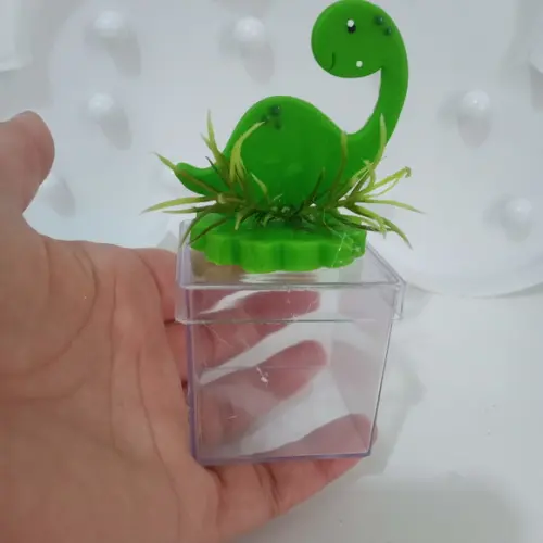 Lembrancinha Dinossauro de Biscuit na Caixinha de Acrílico