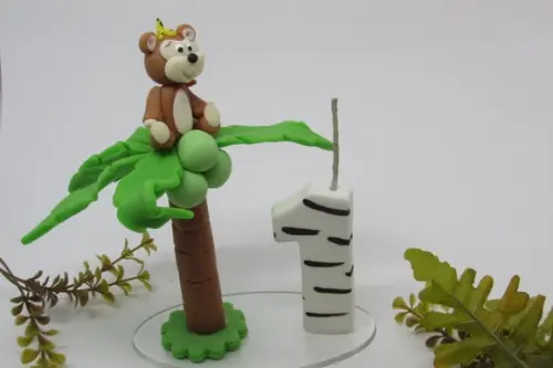Vela Macaquinho em Cima do Coqueiro