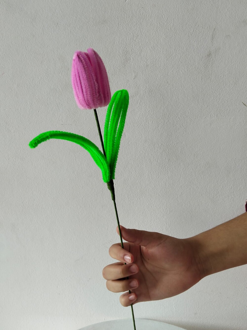 Tulipas