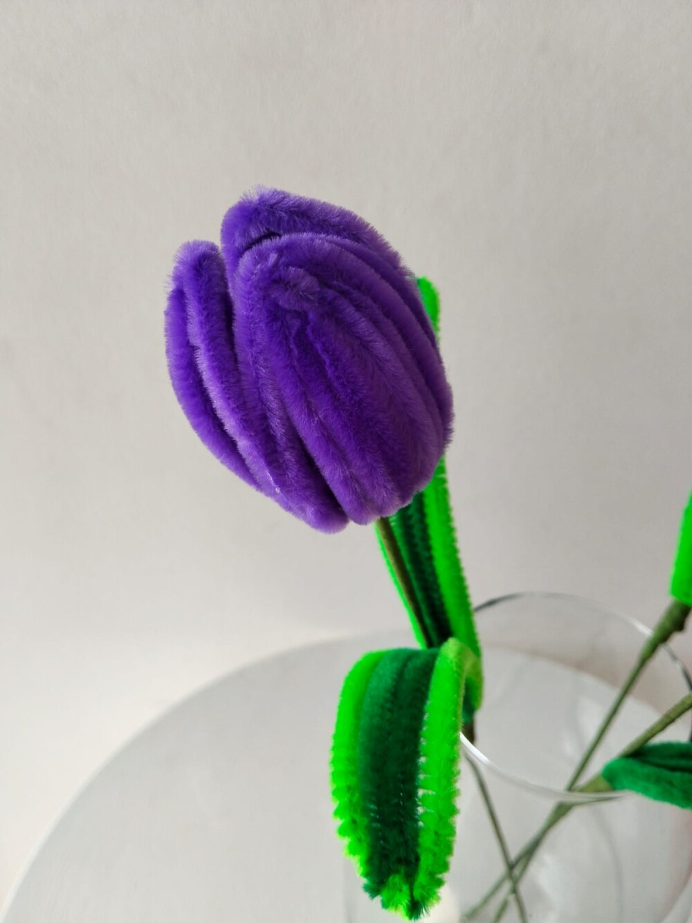 Tulipas
