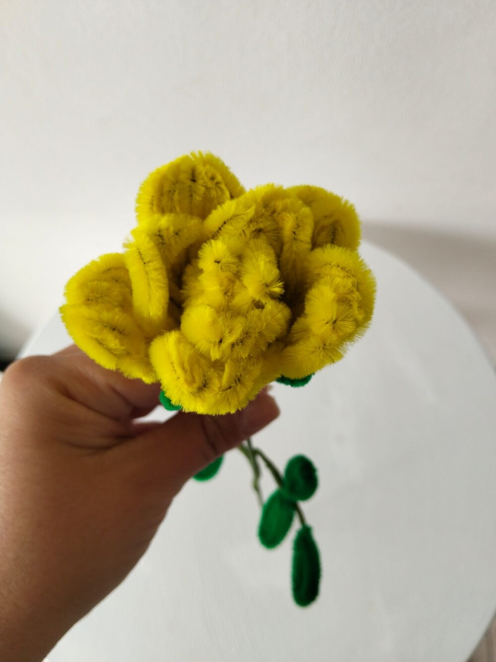 Rosa amarela