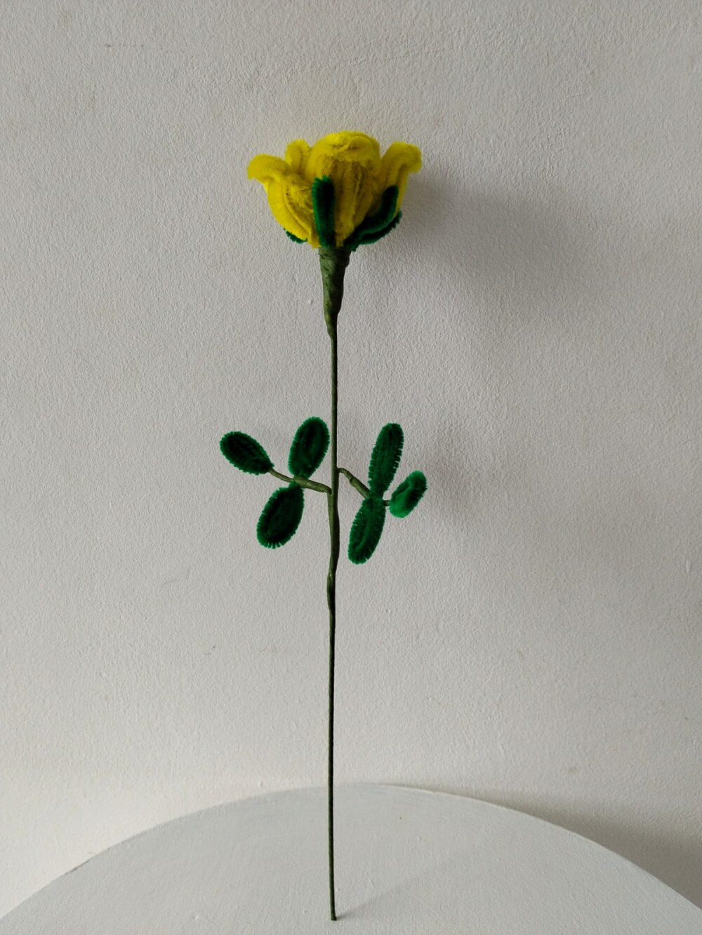 Rosa amarela