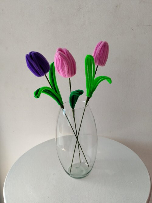 Tulipas