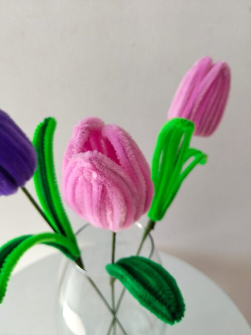 Tulipas