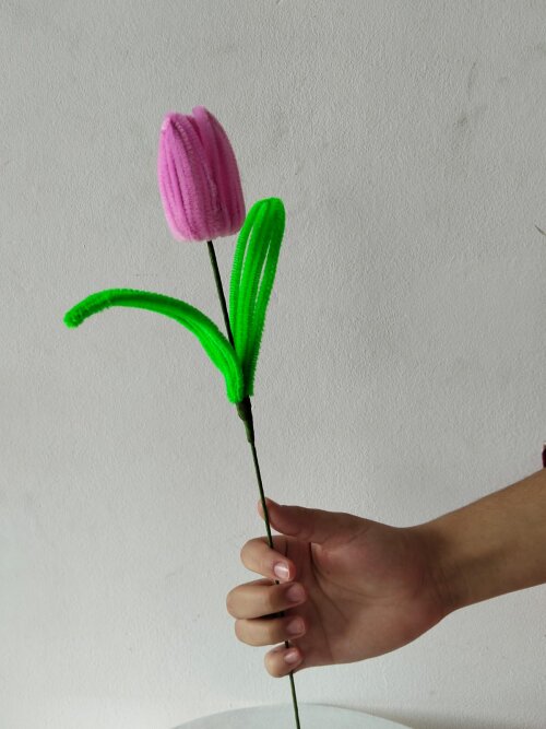 Tulipas
