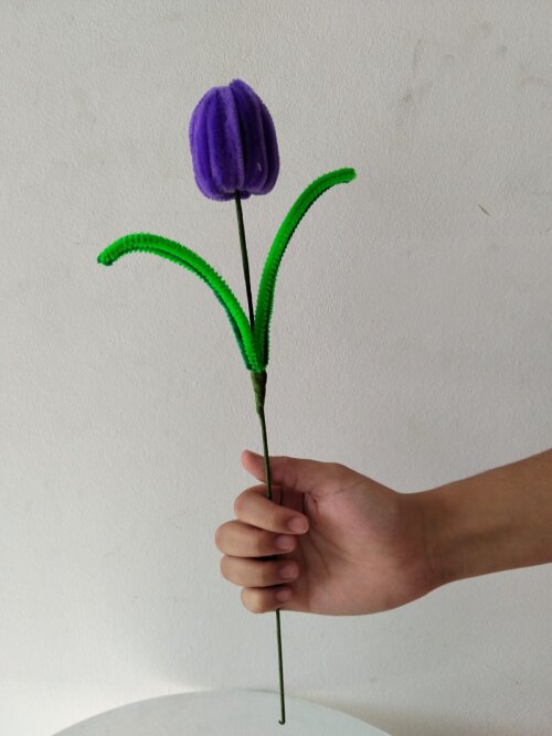 Tulipas
