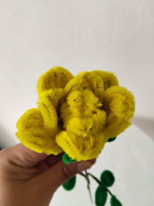Rosa amarela