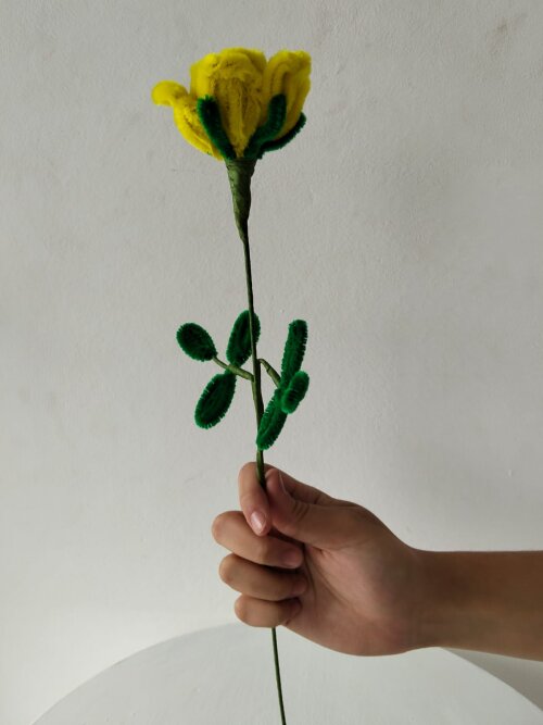 Rosa amarela