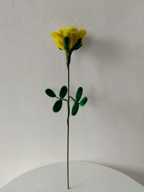 Rosa amarela