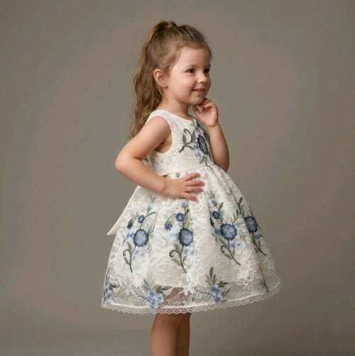 Vestido Renda Bordado Luxo