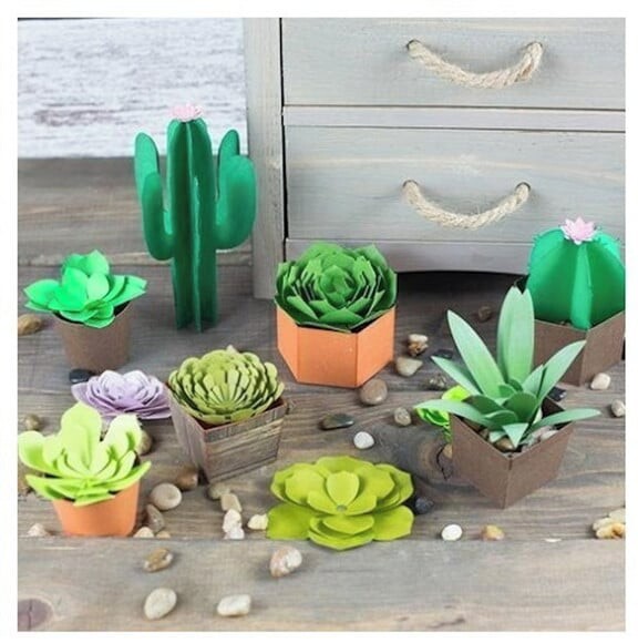 Arquivo de Corte Silhouette Kit Suculentas e Cactus