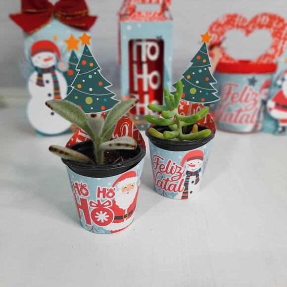 Arquivo Silhouette Embalagem Suculenta Natal