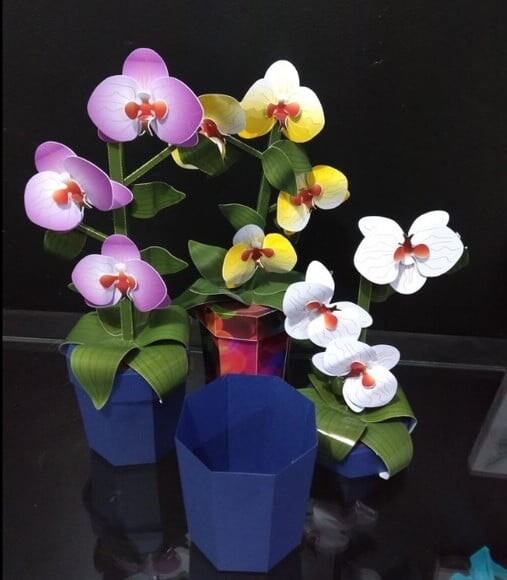 Vaso e Flores de Papel 3 Cores - Dia das Mães - Arquivo de Corte