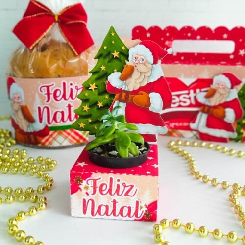 Arquivo pdf Porta Suculenta Natal Cortar com Tesoura