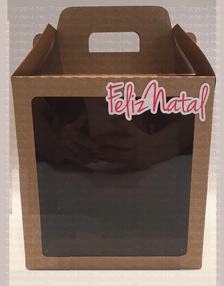 Arquivo Silhouette Caixa Panetone 500g Natal
