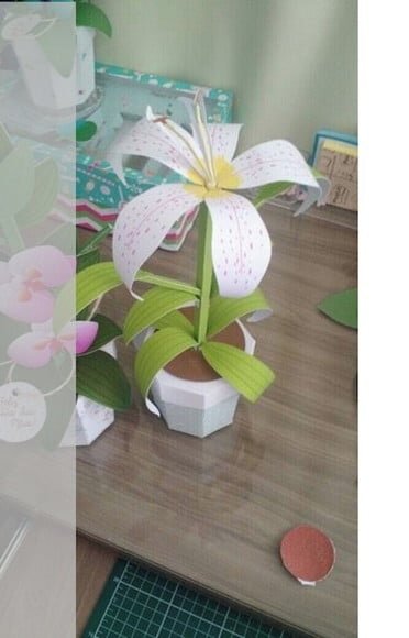 Arquivo Silhouette Flor Lirio Mãe Namorada Amiga