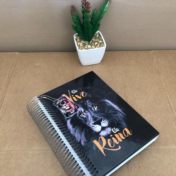 Biblia Personalizada Leão de Judá 18x26