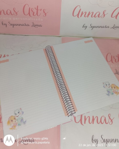Caderno Colegial 18x26 Patrulha Canina Skye e Everest