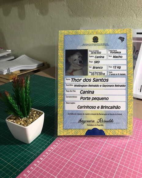 Certidão de Pets