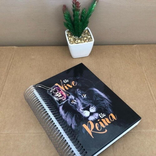 Biblia Personalizada Leão de Judá 18x26