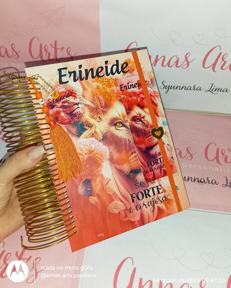 Biblia Personalizada Leão de Judá 18x26
