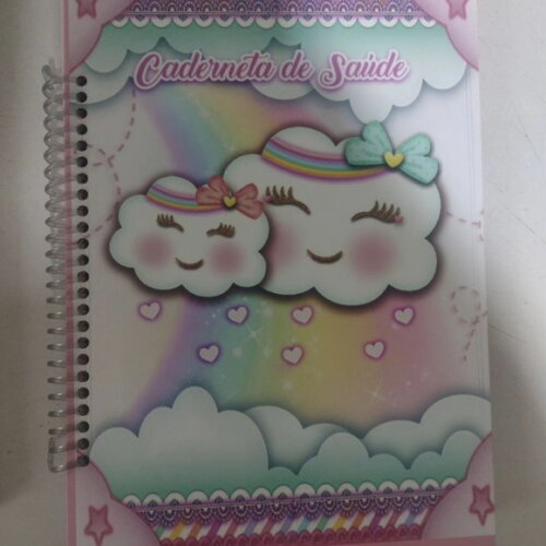 Caderneta de Vacina Chuva de Benção ou Amor Menina