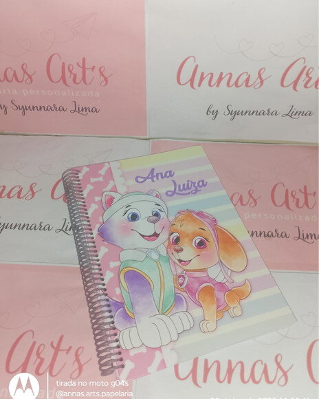 Caderno Colegial 18x26 Patrulha Canina Skye e Everest