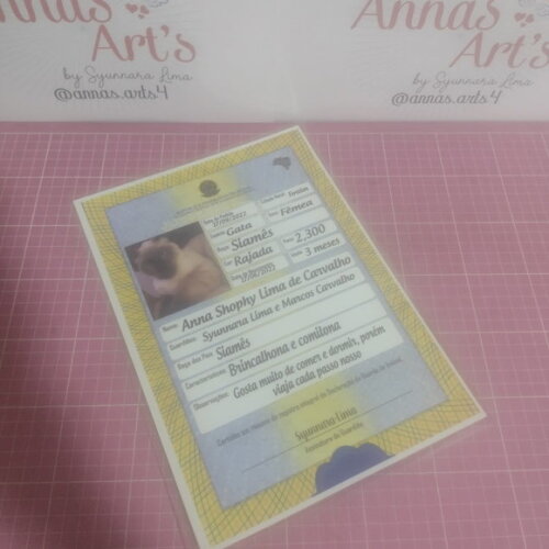 Certidão de Pets
