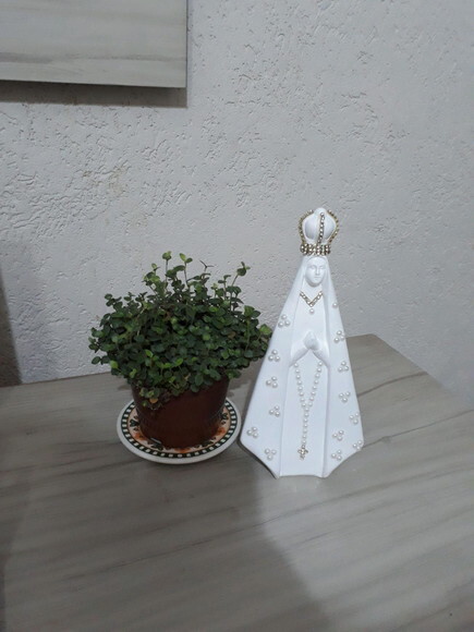 Nossa Senhora Aparecida estilizada