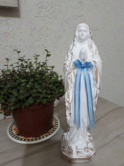 Nossa Senhora de Lourdes customizada