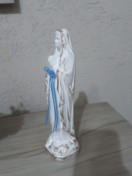 Nossa Senhora de Lourdes customizada