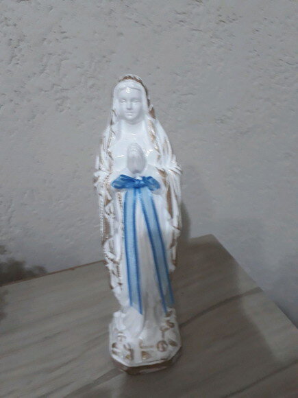 Nossa Senhora de Lourdes customizada